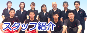 スタッフ紹介